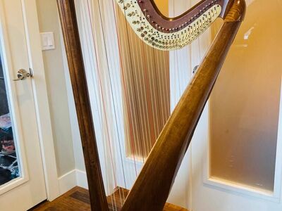 Salvi Daphne 40 Harp - $11k OBO