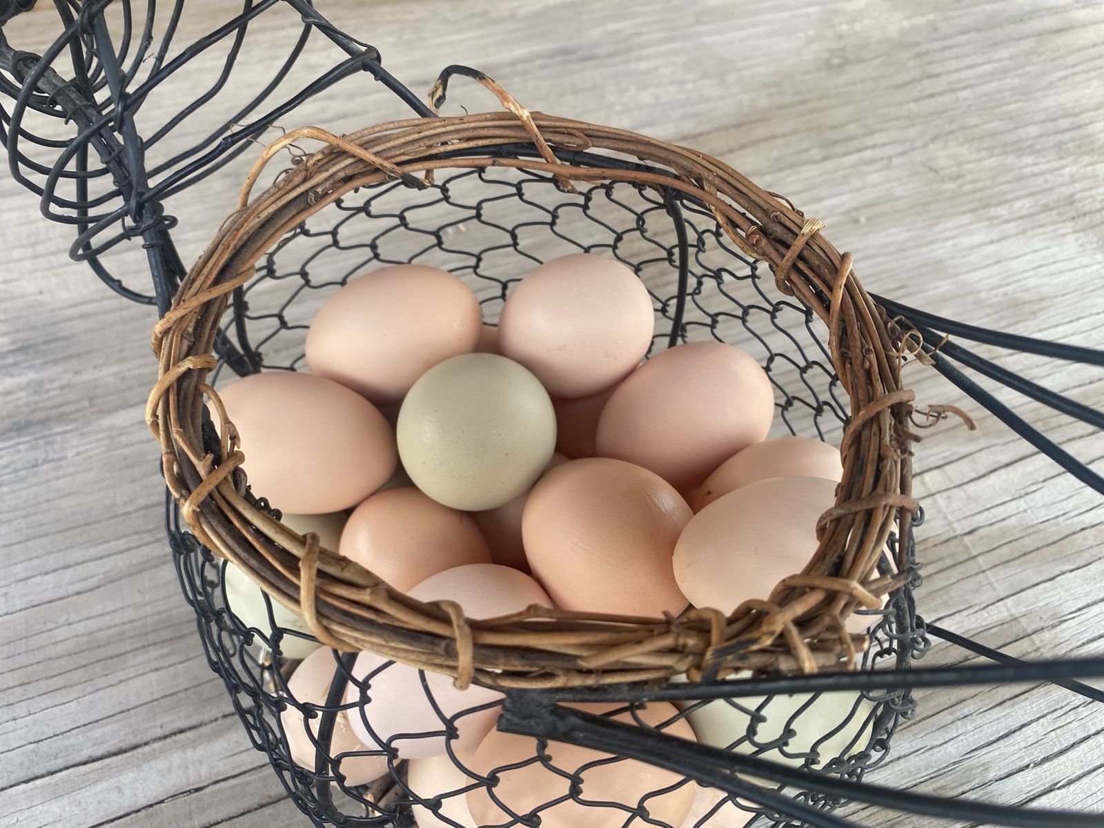 Table & hatching eggs by the dozen!