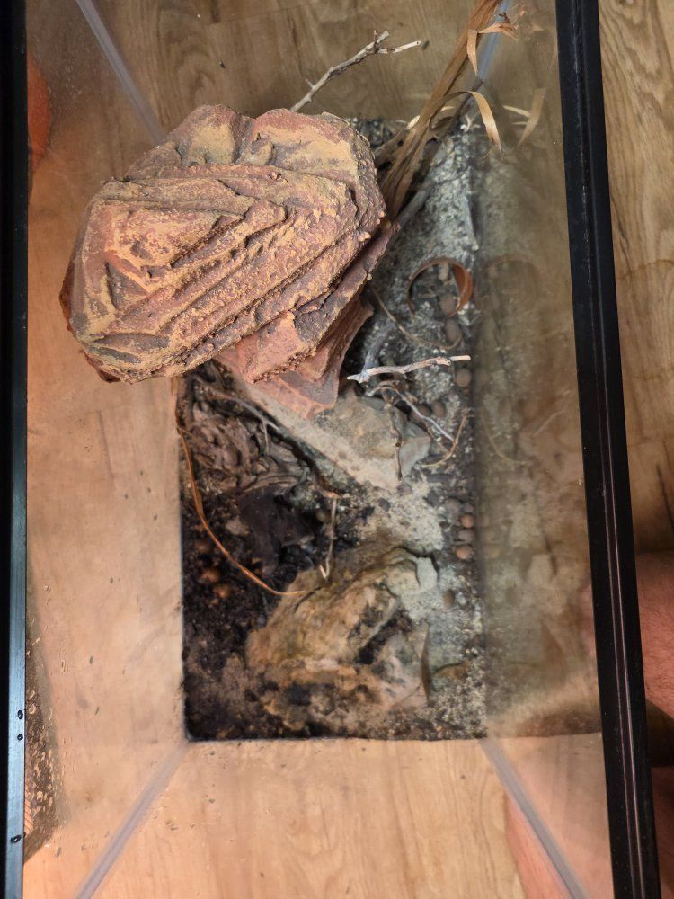 Main image 4