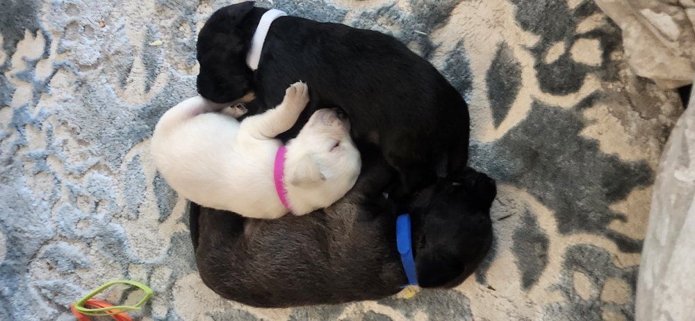 A Mother’s Day Gift That Has a Heartbeat!