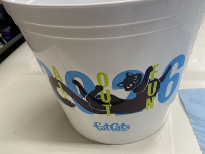 Fat cats refillable popcorn bucket for 10 dollars.