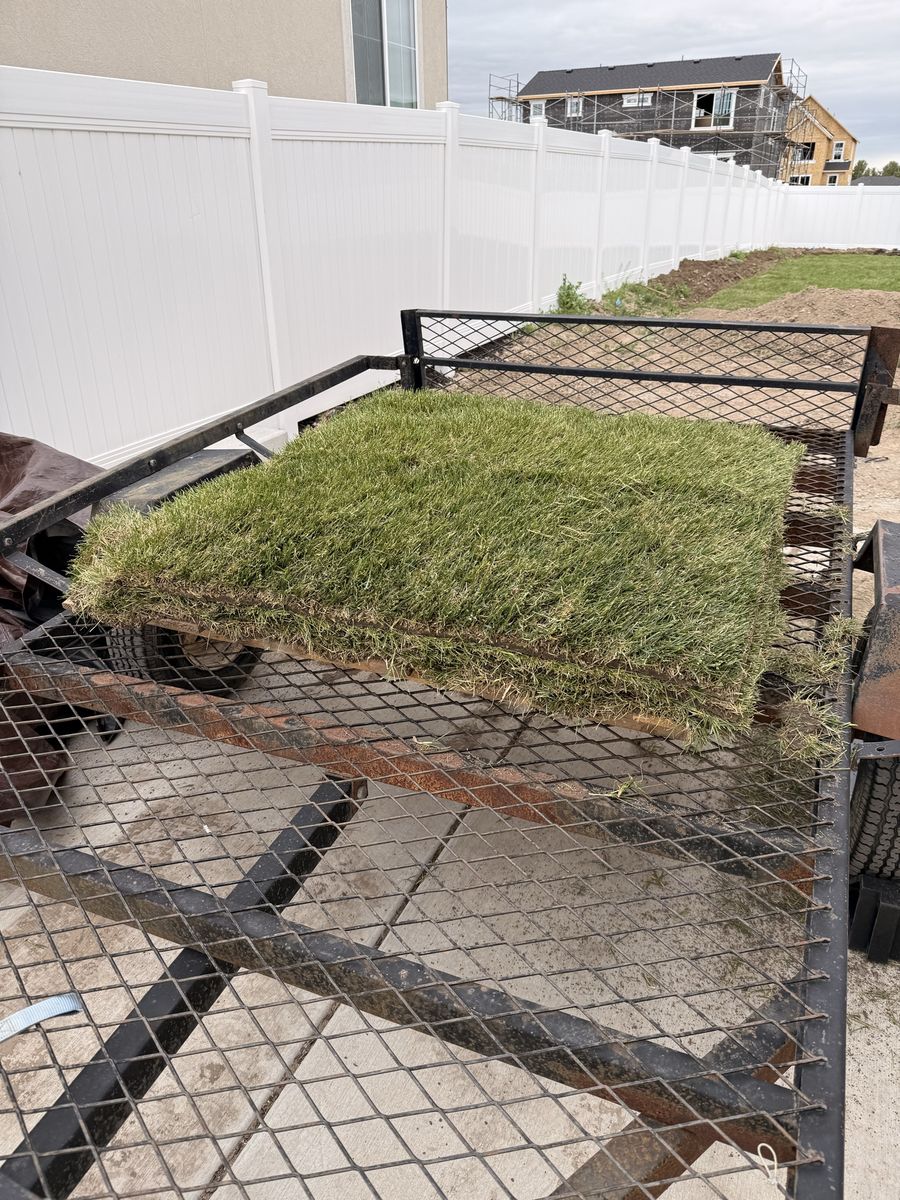 Free Sod