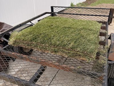 Free Sod