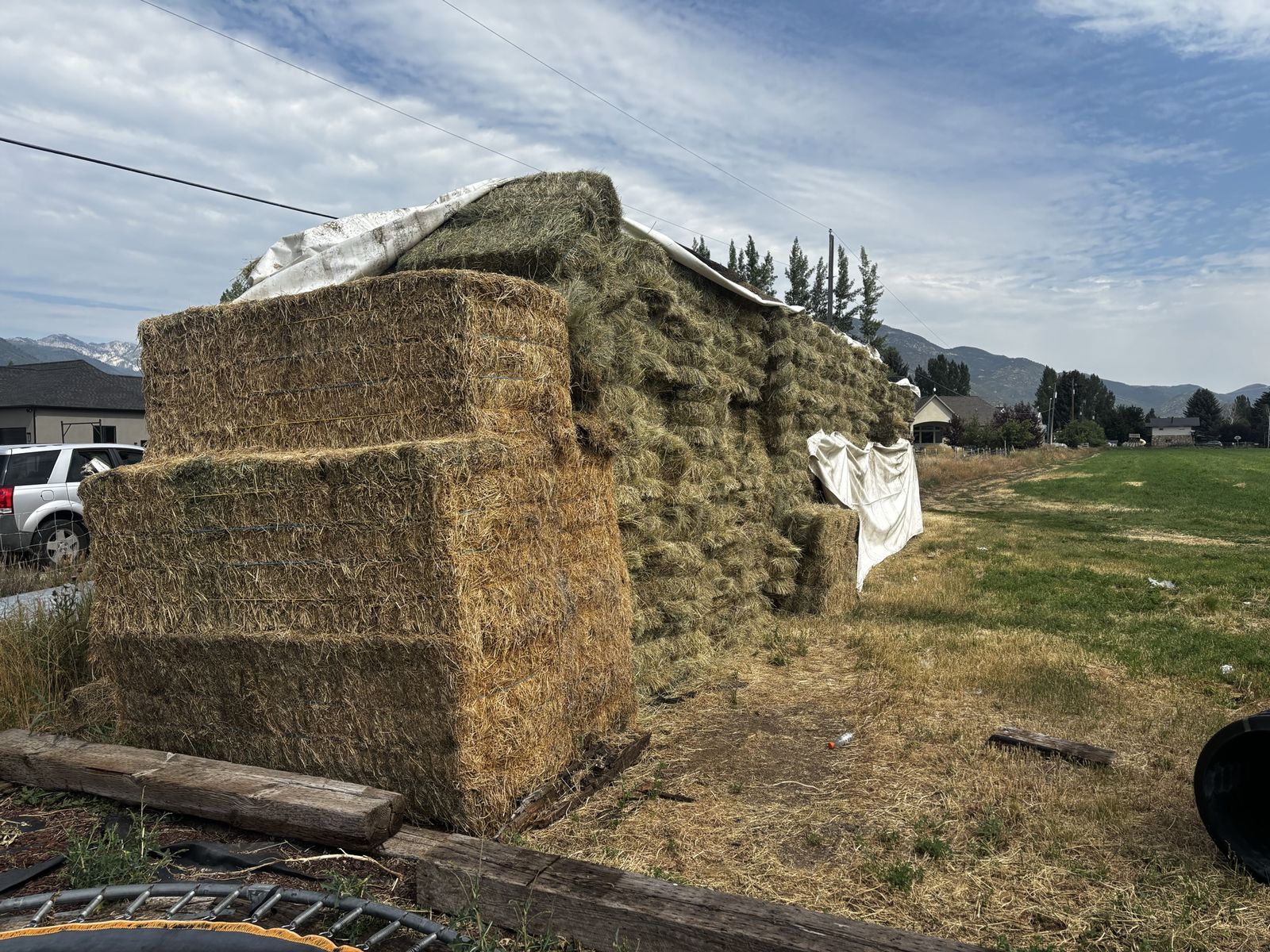 12$ 1st crop alfalfa hay mix small bales