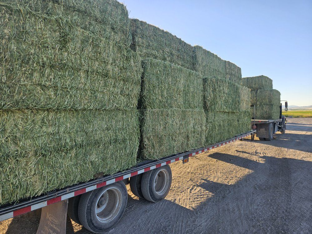 Really Nice Alfalfa Bales, Delivered
