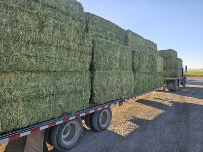 Really Nice Alfalfa Bales, Delivered