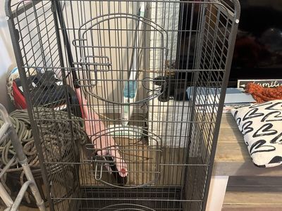 Large Metal Pet Bird Cage with Removable Trays