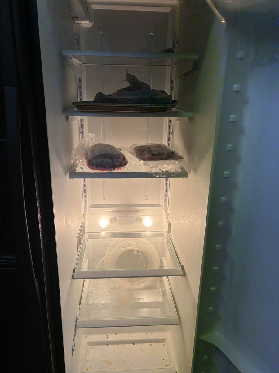 Main image 5