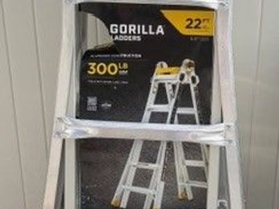 Multi-position Ladder