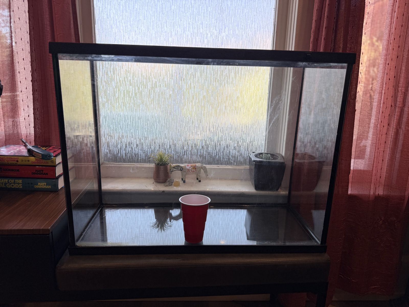 Large fish tank and accessories