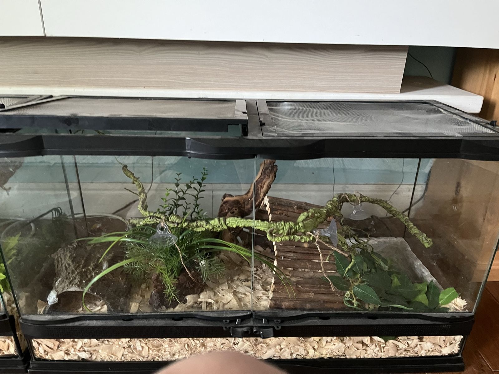 2 Exo Terra 20 Gallon Glass Reptile Terrarium Tank w/ Mesh Top, Front Opening Doors