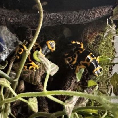 Main image 3