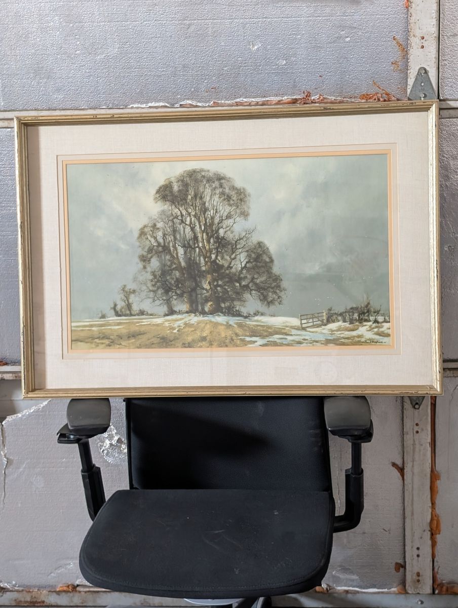 Lone Tree