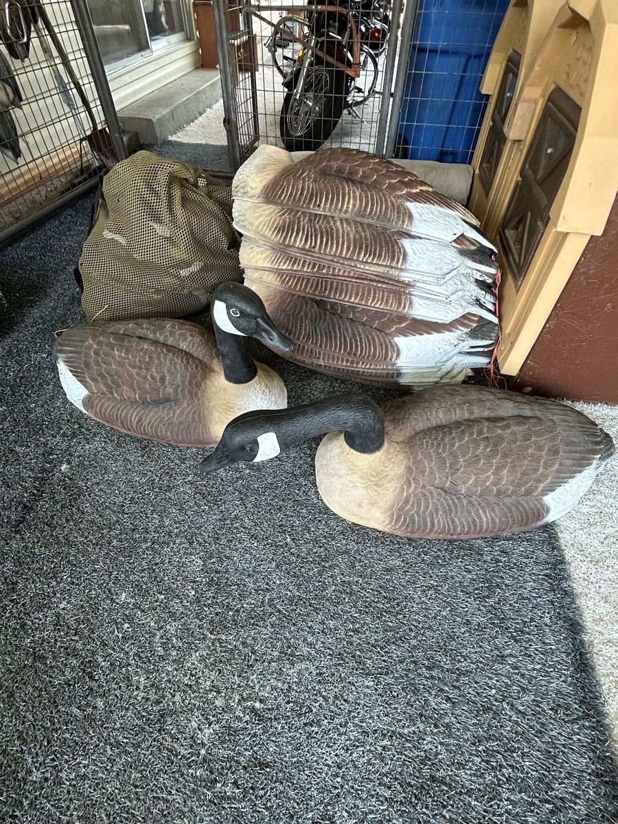 Goose Decoys, Mag Shells. 