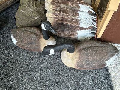 Goose Decoys, Mag Shells.