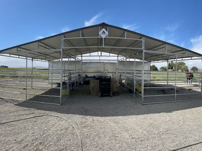 4 Stall Mare Motel With Turnout
