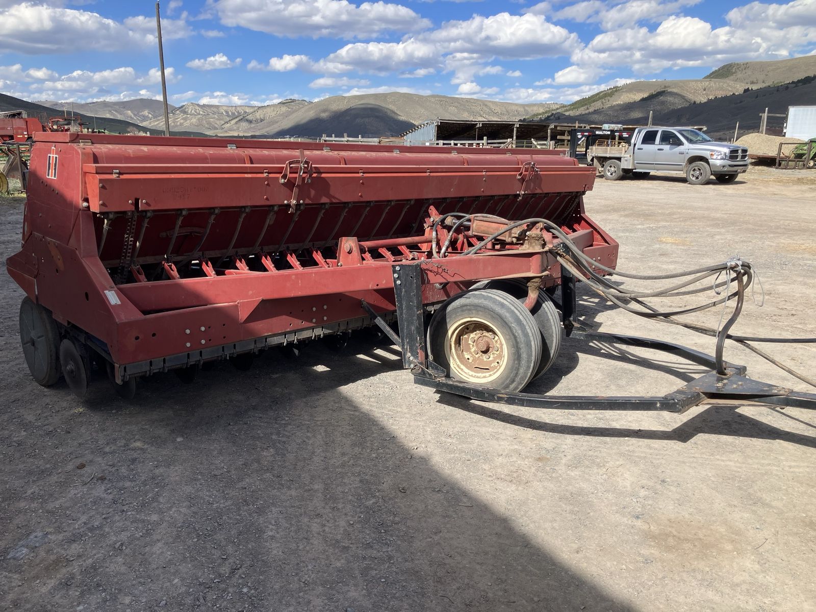 International Grain drill