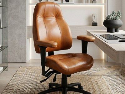 Lifeform Leather Office Chair