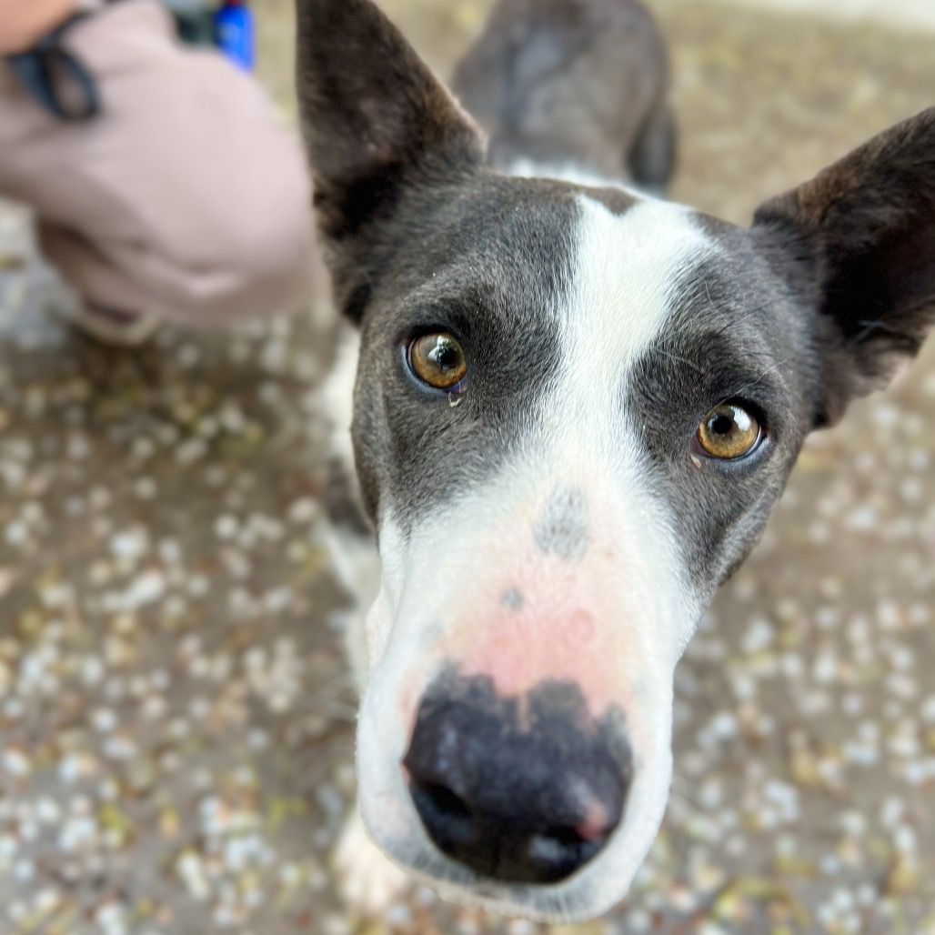 Hello my name is Jade