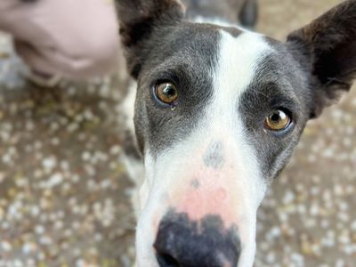 Hello my name is Jade