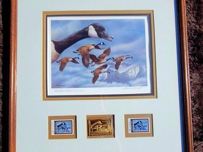Framed Medallion Edition Duck Stamp Art Print Set.