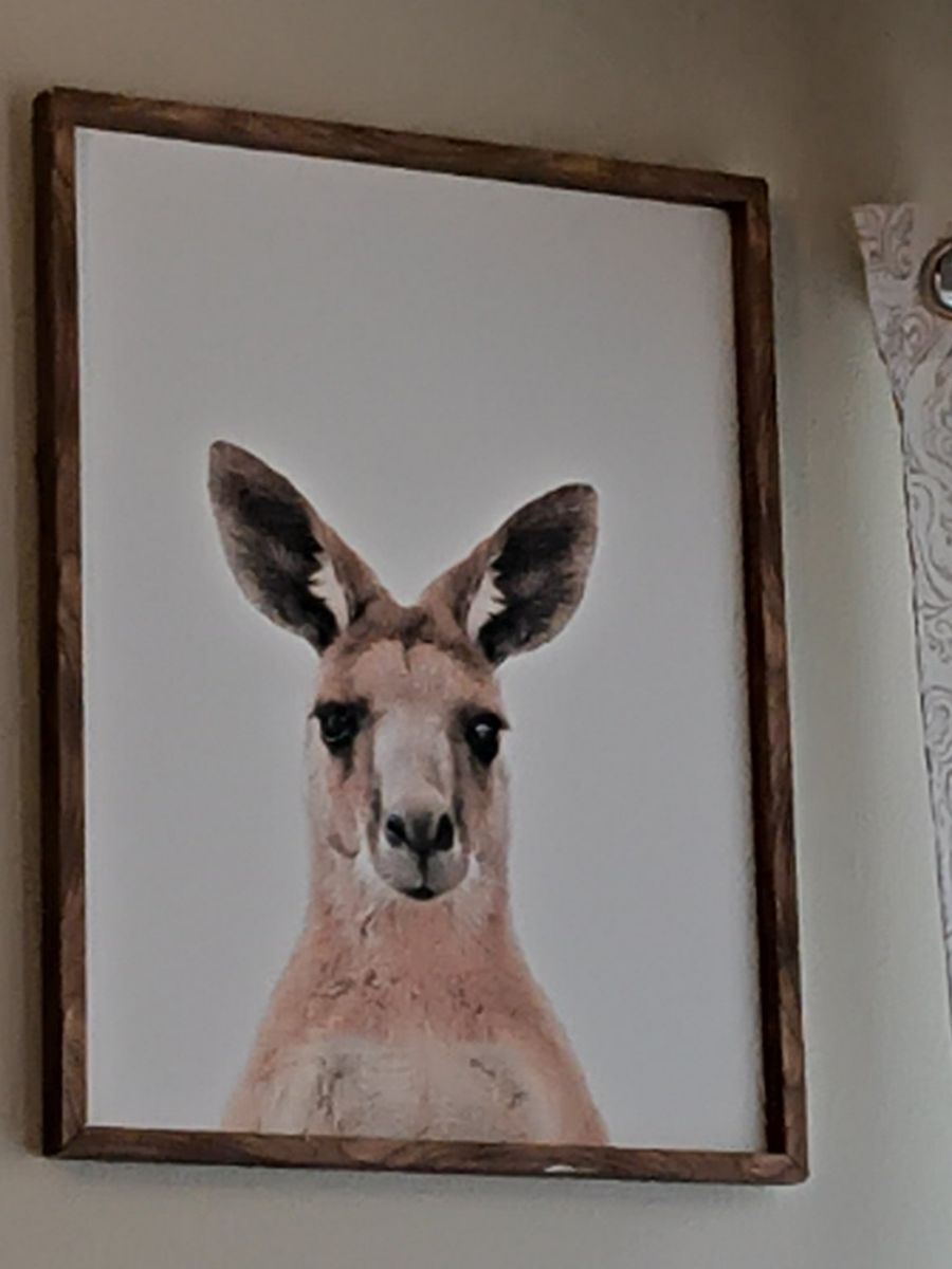 decorative pictures