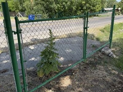 1 gate