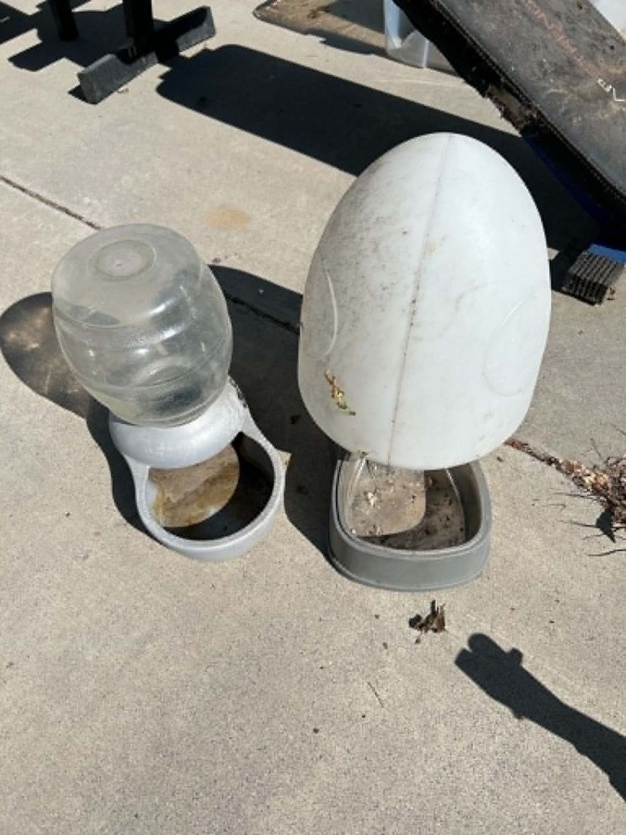 2 Dog water feeder