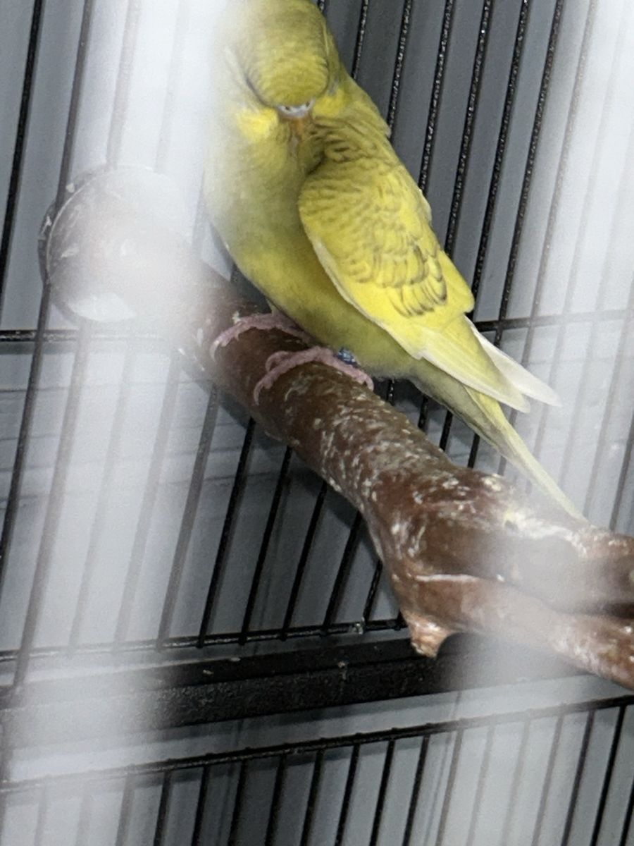 Main image 6