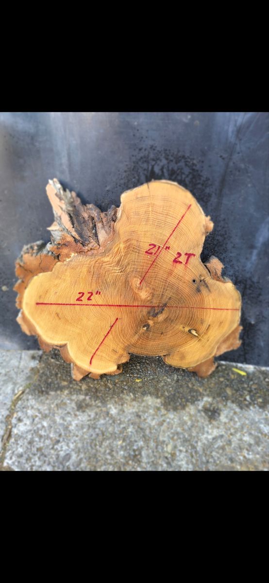 Black Locust hard wood slab 21"×22" 2" thick