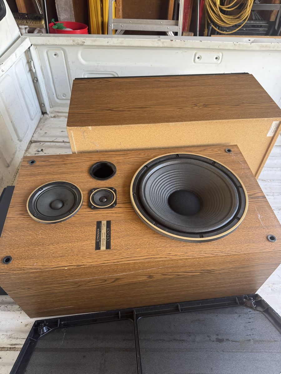 Pioneer cs-g303 speakers
