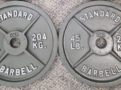 Pair of Standard Barbell 45 LB Plates