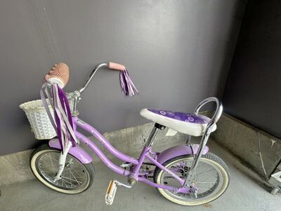 Schwinn Kids bike