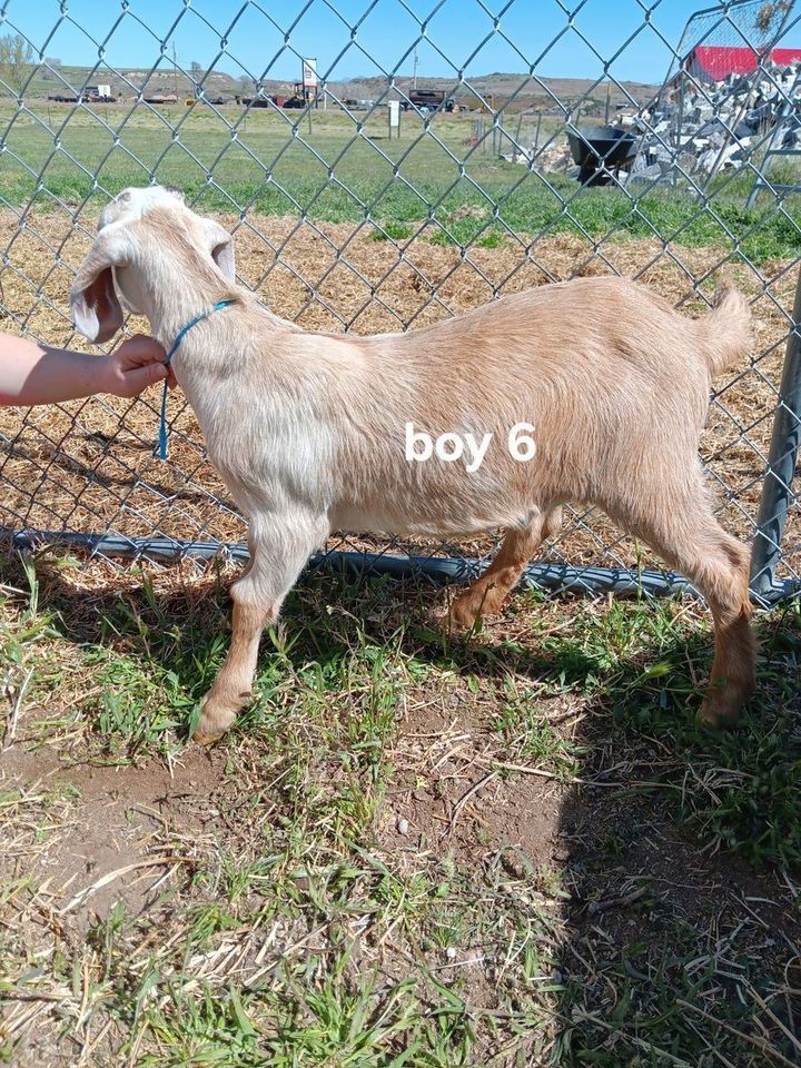 Main image 35