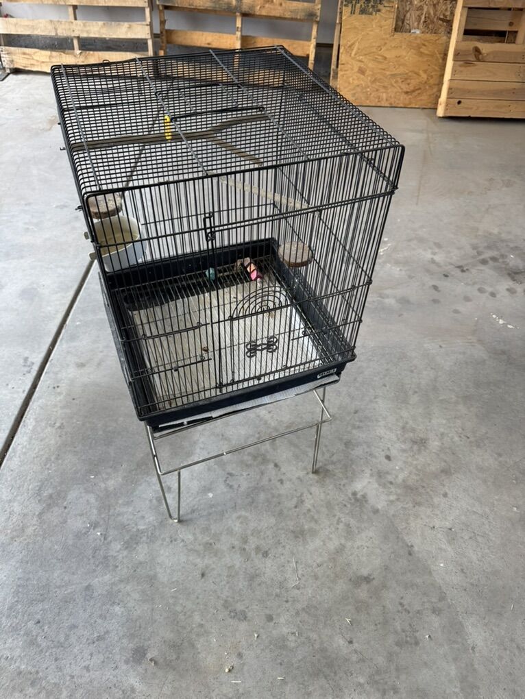 Bird Cage