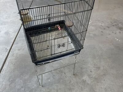 Bird Cage