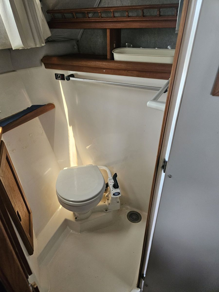 Main image 11