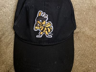 Black Adjustable Baseball Cap with Embroidered Cartoon Bee Mascot Logo
