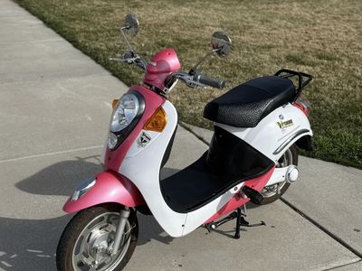 Electric Scooter With New Batteries