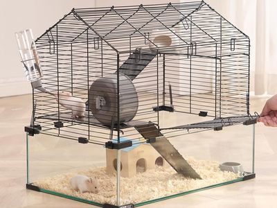 Small Animal Cage