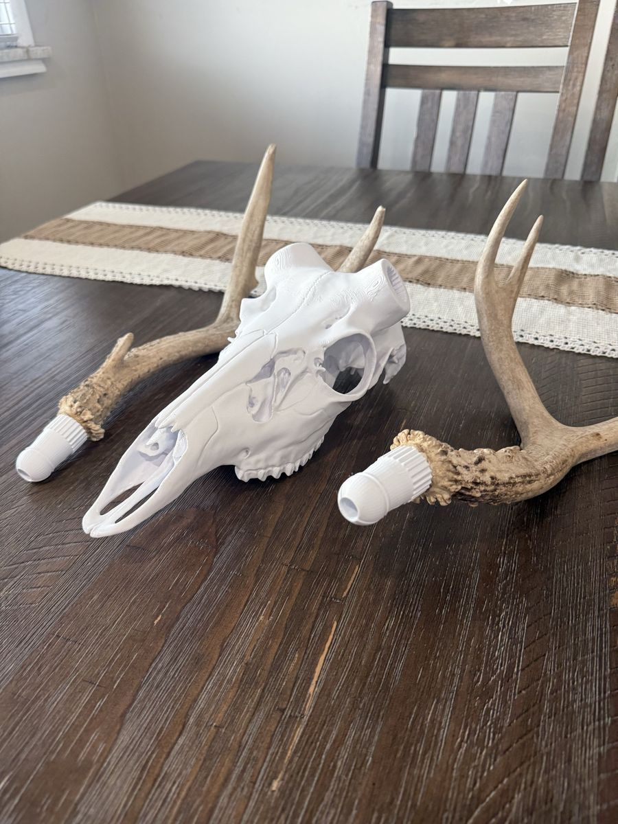 Plastic Deer Skulls For You Sheds Or Broken Skulls
