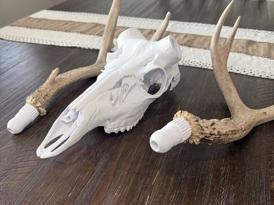 Plastic Deer Skulls For You Sheds Or Broken Skulls