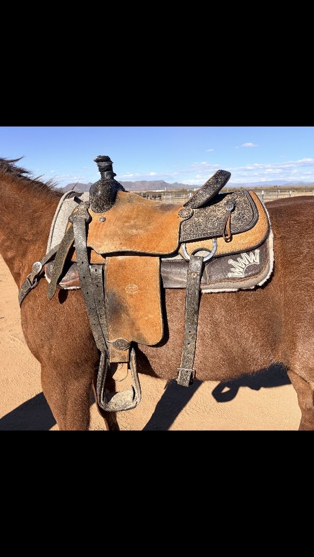 Tomahawk rope saddle
