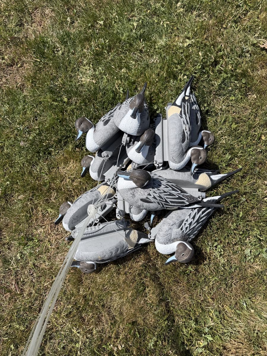 12 Final Approach Last Pass Pintail Decoys