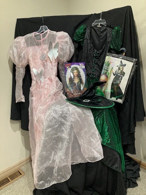 Wizard of Oz GLINDA and WICKED WITCH Set   $40 Each