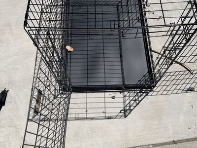 Large Dog Collapsable Crate