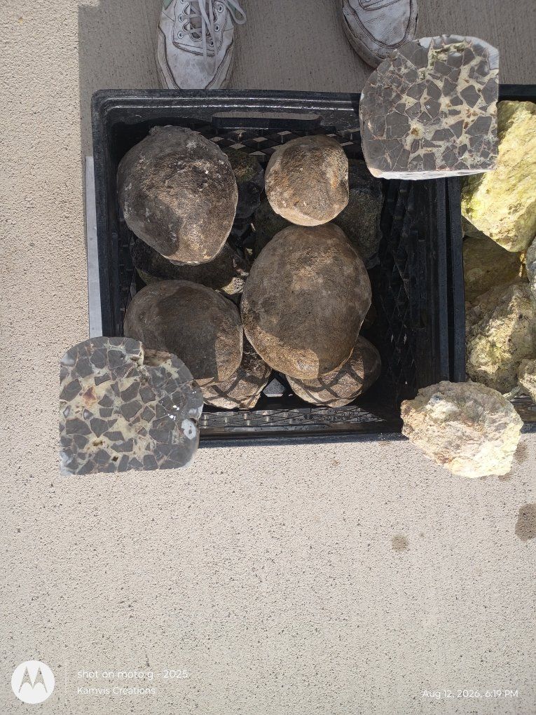 Main image 36