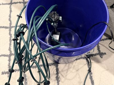 Plant starter watering system