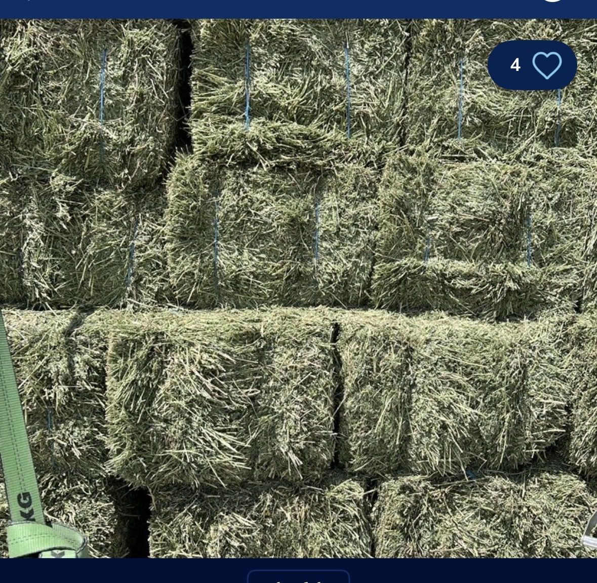 Alfalfa Hay