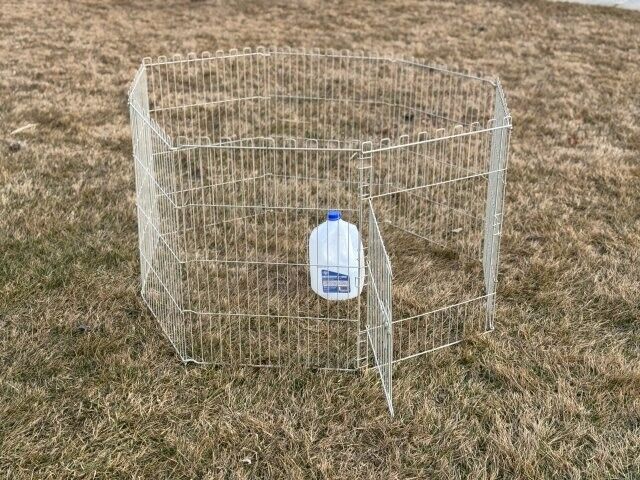 Full Cheeks Small Pet Playpen 24" Tall